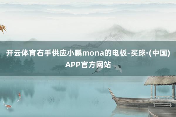 开云体育右手供应小鹏mona的电板-买球·(中国)APP官方网站