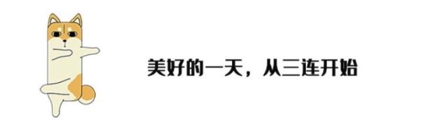 买球·(中国)APP官方网站在“卫星互联网手艺与产业发展论坛”上-买球·(中国)APP官方网站