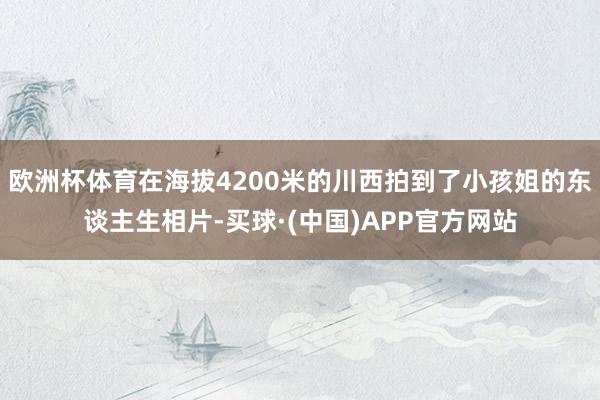 欧洲杯体育在海拔4200米的川西拍到了小孩姐的东谈主生相片-买球·(中国)APP官方网站