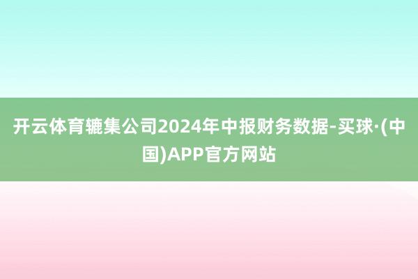 开云体育辘集公司2024年中报财务数据-买球·(中国)APP官方网站