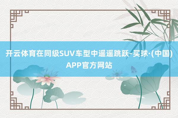 开云体育在同级SUV车型中遥遥跳跃-买球·(中国)APP官方网站