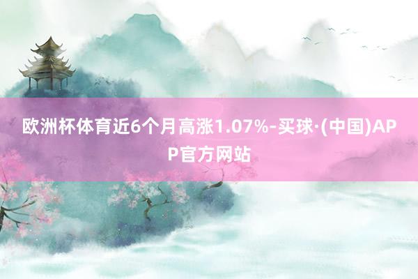 欧洲杯体育近6个月高涨1.07%-买球·(中国)APP官方网站