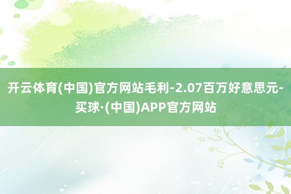 开云体育(中国)官方网站毛利-2.07百万好意思元-买球·(中国)APP官方网站