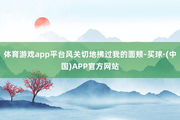 体育游戏app平台风关切地拂过我的面颊-买球·(中国)APP官方网站