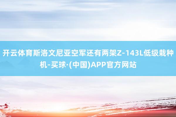 开云体育斯洛文尼亚空军还有两架Z-143L低级栽种机-买球·(中国)APP官方网站