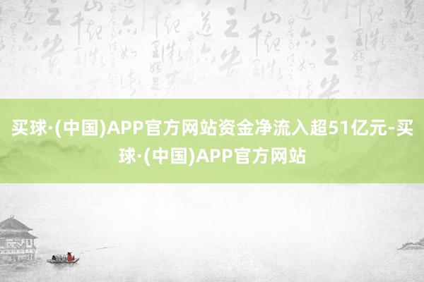 买球·(中国)APP官方网站资金净流入超51亿元-买球·(中国)APP官方网站