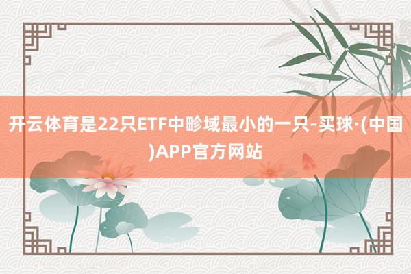 开云体育是22只ETF中畛域最小的一只-买球·(中国)APP官方网站