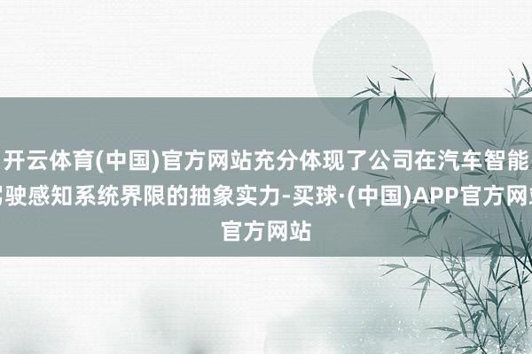 开云体育(中国)官方网站充分体现了公司在汽车智能驾驶感知系统界限的抽象实力-买球·(中国)APP官方网站